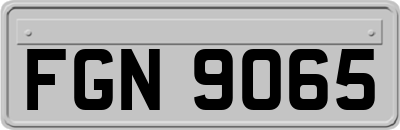 FGN9065