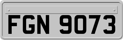 FGN9073