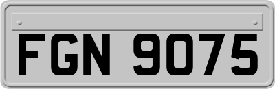 FGN9075