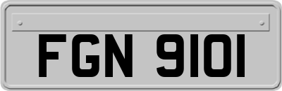 FGN9101