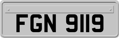 FGN9119