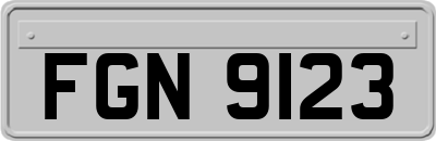 FGN9123