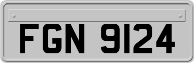 FGN9124