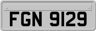 FGN9129