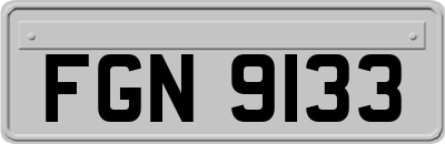 FGN9133