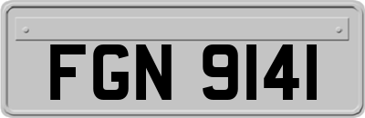 FGN9141