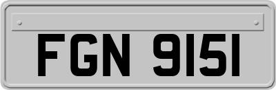 FGN9151