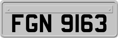 FGN9163