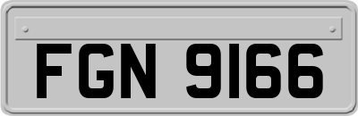 FGN9166