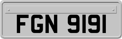 FGN9191