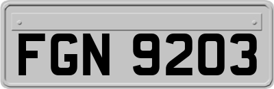 FGN9203