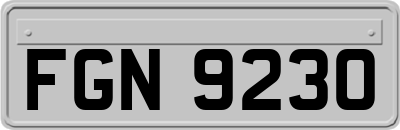 FGN9230