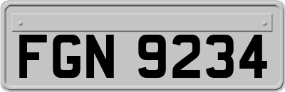FGN9234