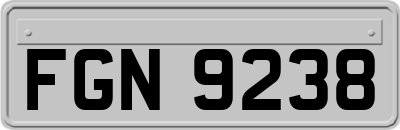 FGN9238