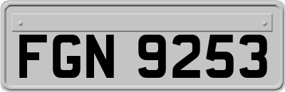 FGN9253