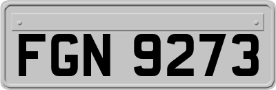 FGN9273