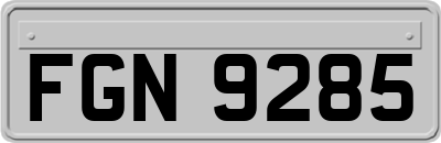 FGN9285