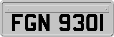 FGN9301