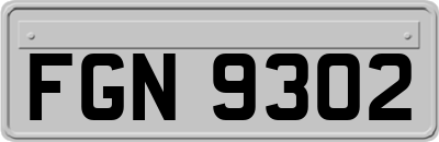 FGN9302