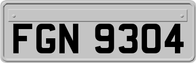 FGN9304