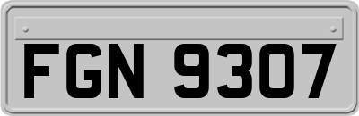FGN9307