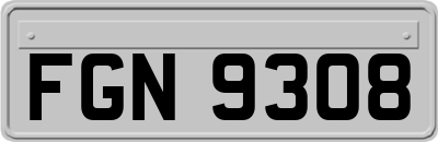 FGN9308