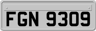 FGN9309