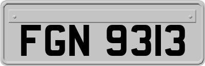 FGN9313