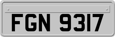 FGN9317