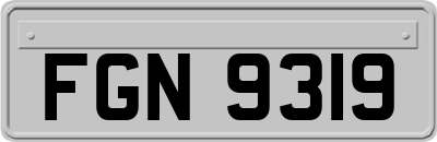 FGN9319