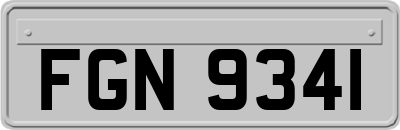 FGN9341