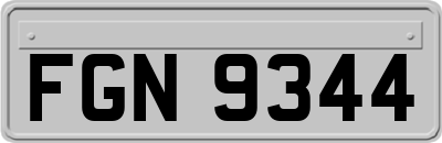 FGN9344