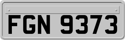 FGN9373
