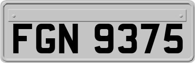 FGN9375