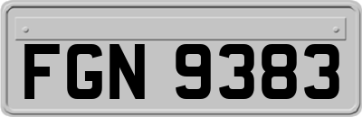 FGN9383
