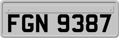 FGN9387