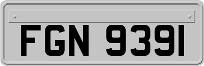 FGN9391