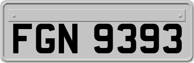FGN9393
