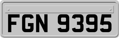 FGN9395