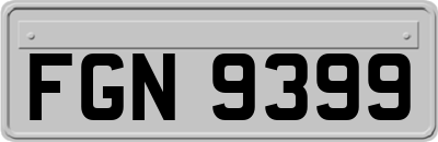 FGN9399