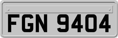 FGN9404