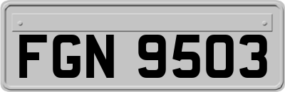 FGN9503