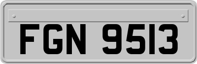 FGN9513