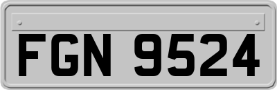 FGN9524