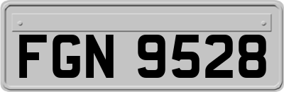 FGN9528
