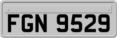 FGN9529