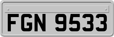 FGN9533
