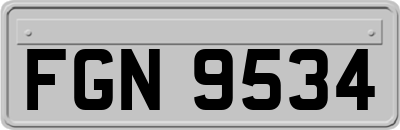 FGN9534
