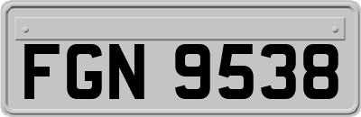FGN9538