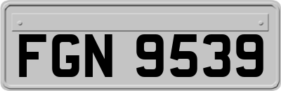 FGN9539